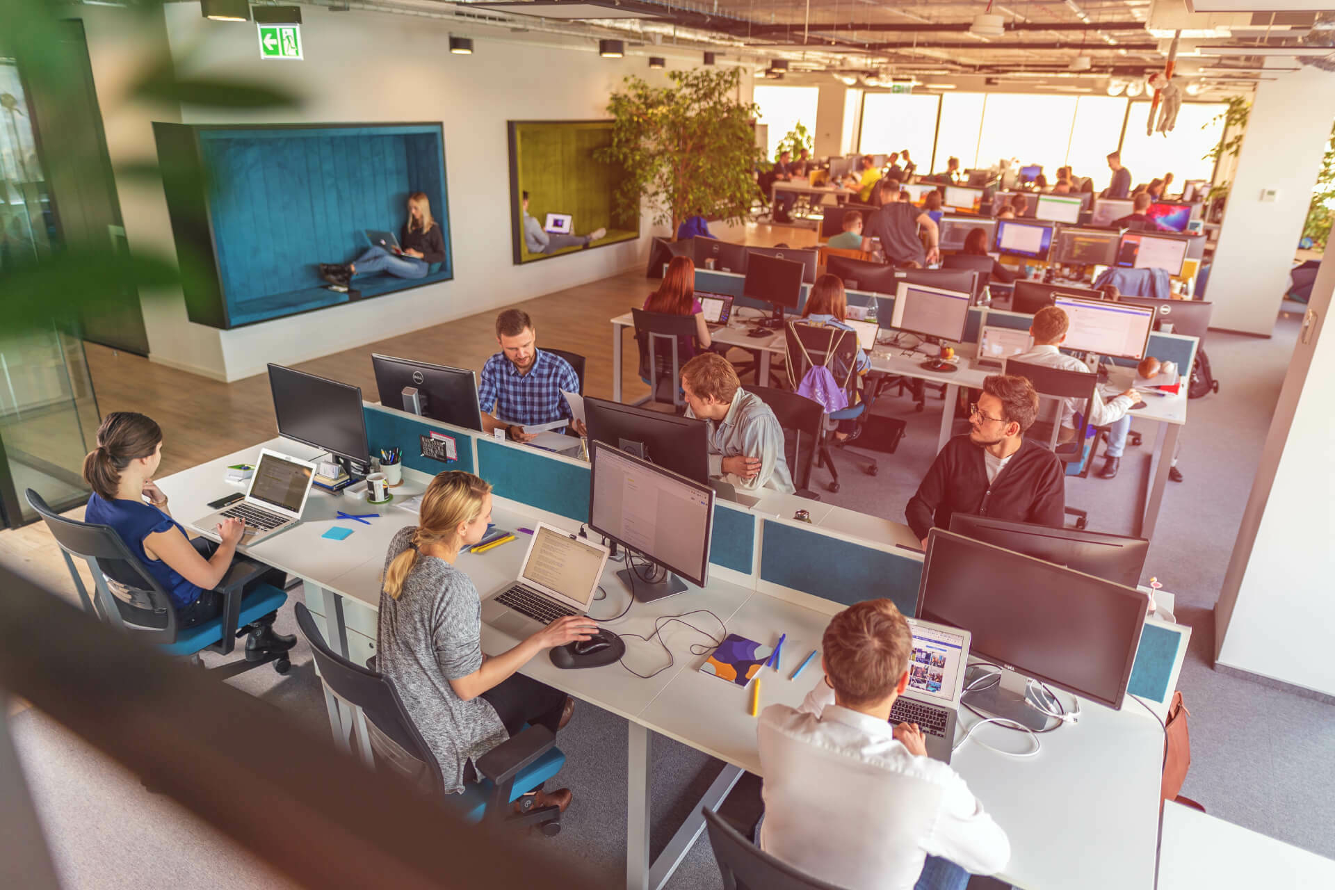 Software Development Companies