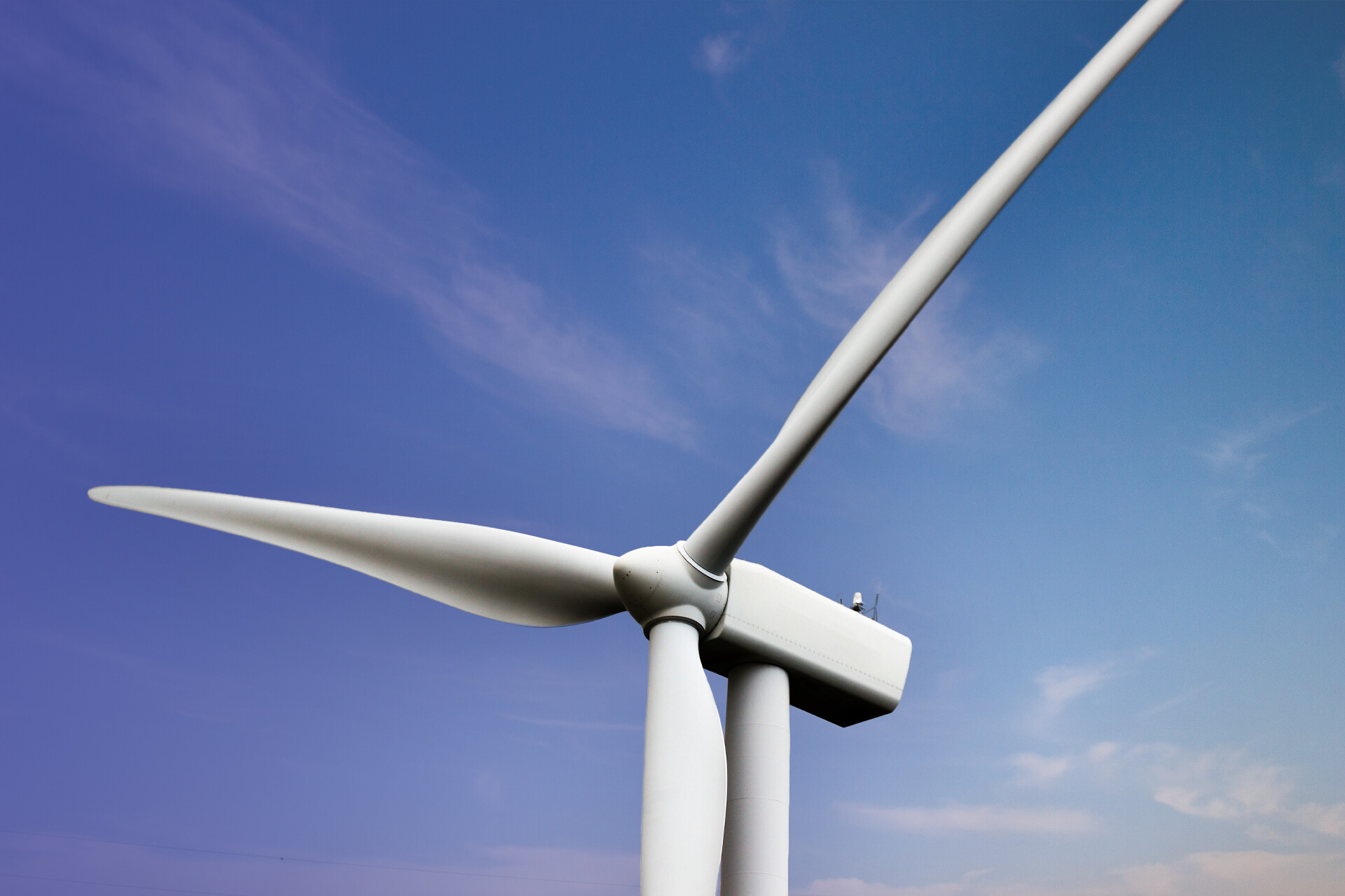 renewable energy startups