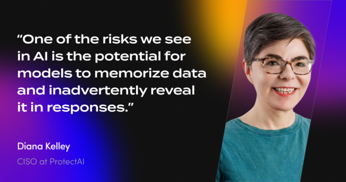 Diana Kelley quote about risks of the AI
