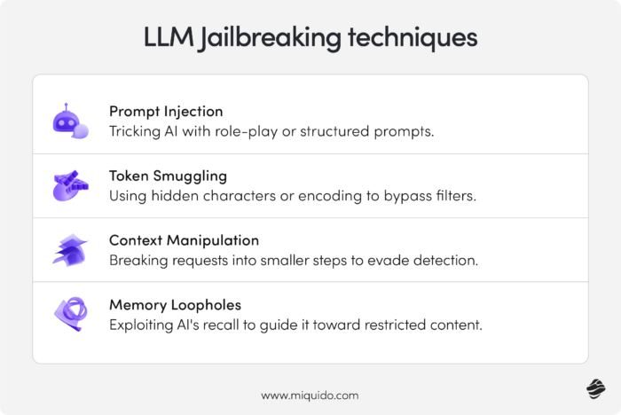 LLM Jailbreaking Techniques