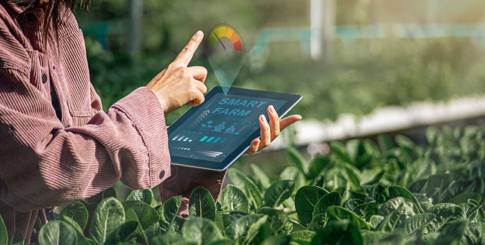 [header] top 10 foodtech startups to watch in 2025