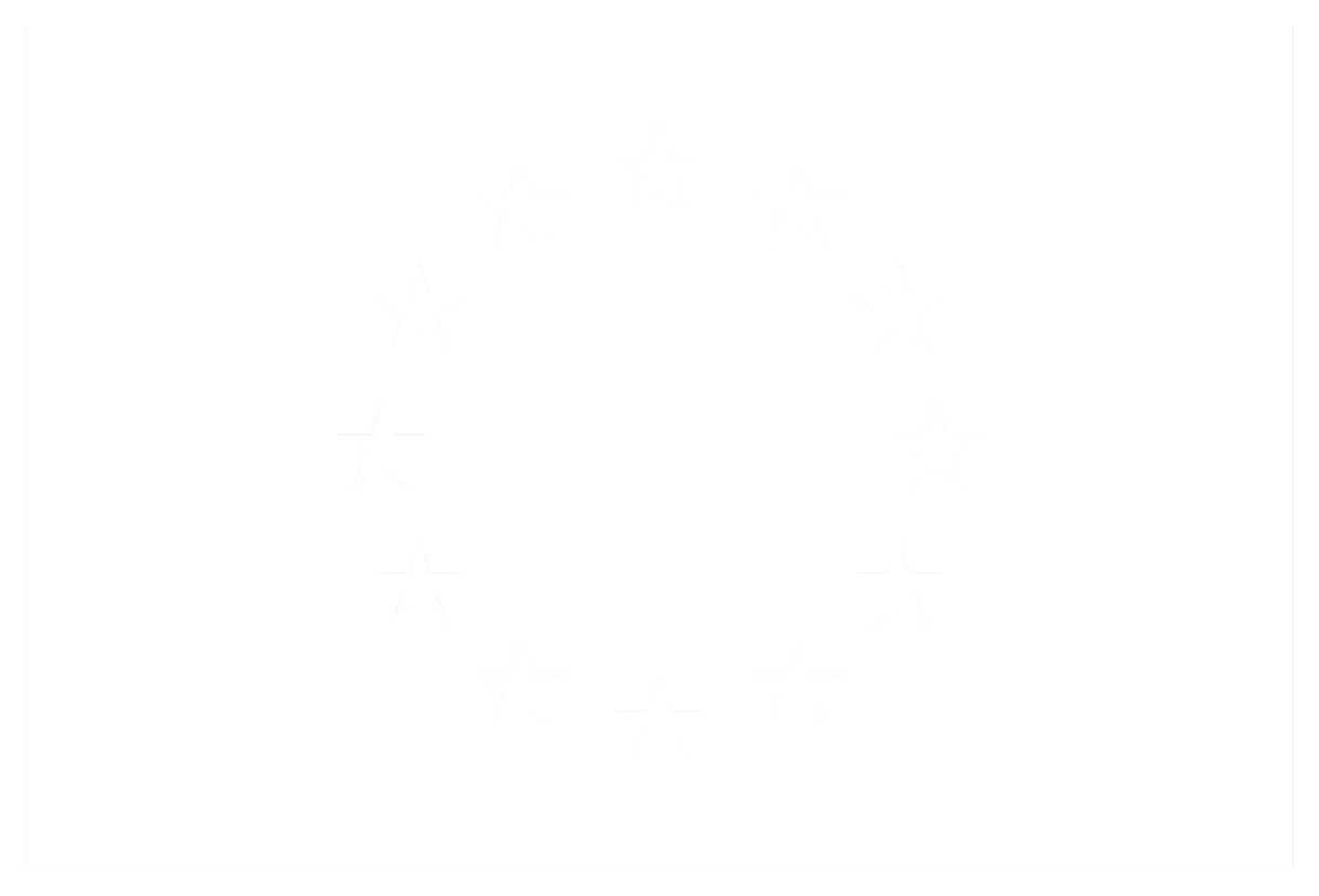 en fundedbytheeu rgb white outline flag (1)